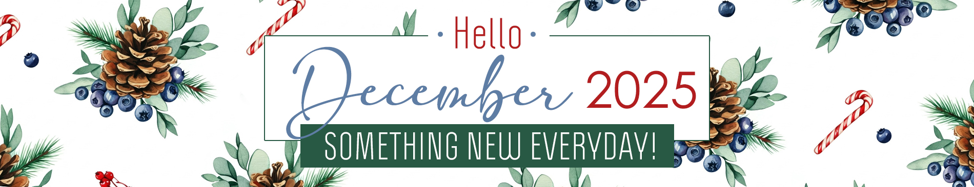 New This Month December 2025