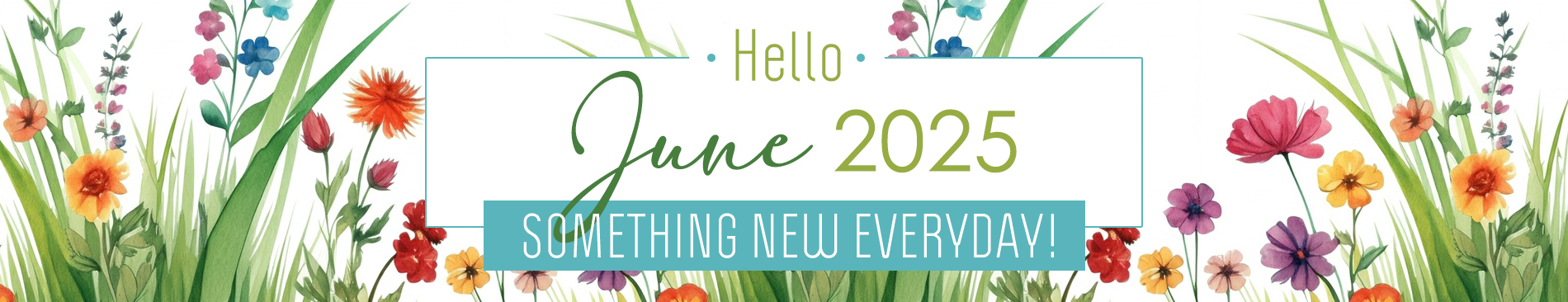New This Month June 2025
