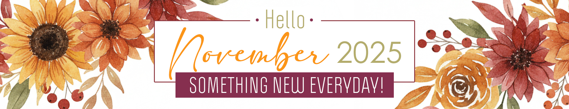 New This Month November 2025